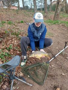 Mirror Carp