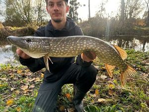 Northern Pike