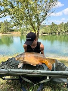 Mirror Carp