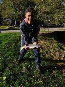 Rainbow Trout