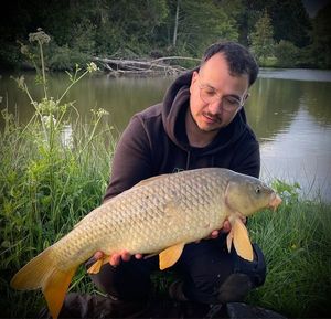 Common Carp