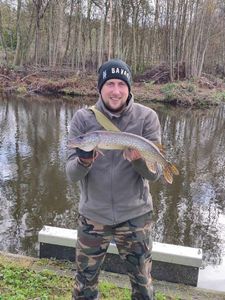 Northern Pike