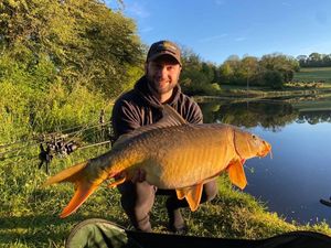 Mirror Carp
