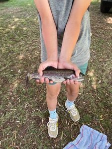 Rainbow Trout