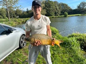 Common Carp