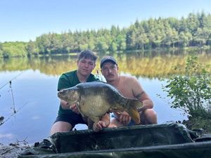 Mirror Carp