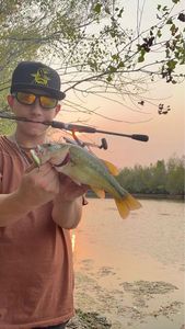 Smallmouth Bass
