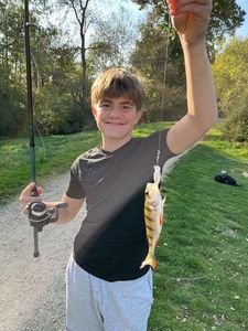 European Perch