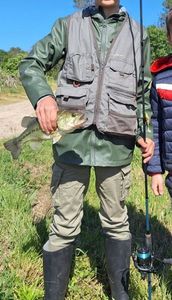 Largemouth Bass