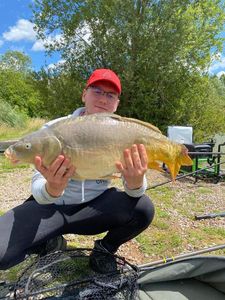 Mirror Carp