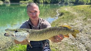 Northern Pike
