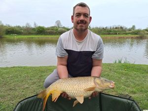 Common Carp