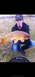 Koï Fish