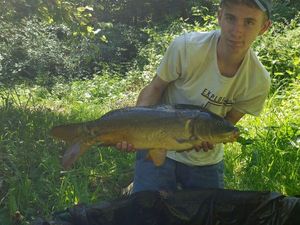 Mirror Carp