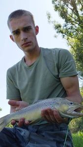 Brown Trout