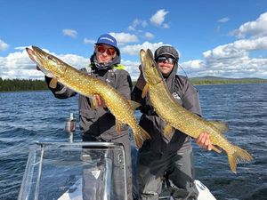 Northern Pike