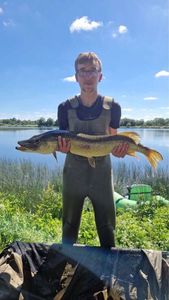Northern Pike