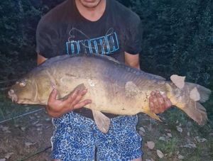 Leather Carp