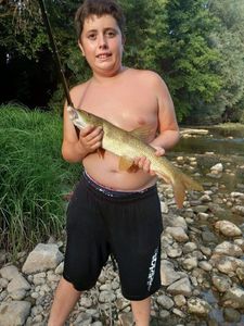 Barbel