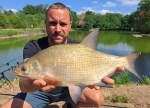 Common Bream