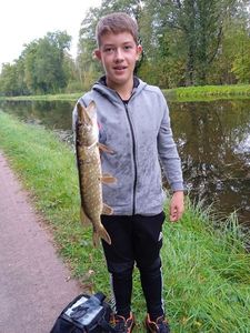 Northern Pike