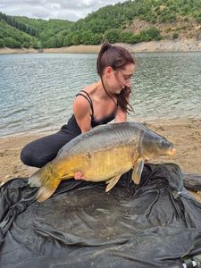 Mirror Carp