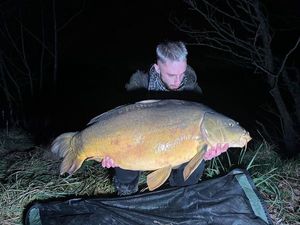 Mirror Carp