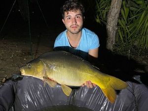 Mirror Carp