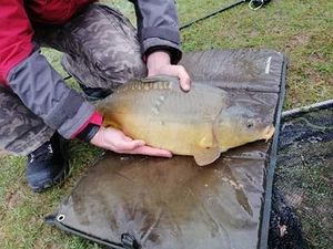Leather Carp