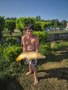 Mirror Carp