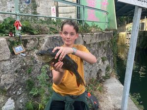 European Perch