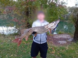 Northern Pike