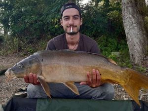 Mirror Carp