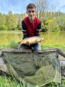 Mirror Carp