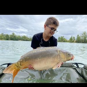 Mirror Carp