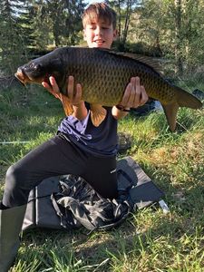 Common Carp