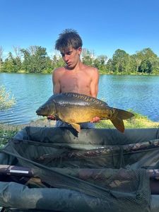 Mirror Carp