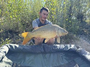 Mirror Carp