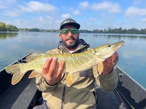 Northern Pike