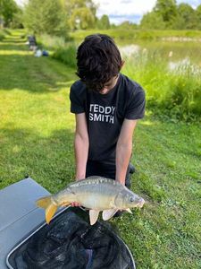 Mirror Carp