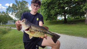 Largemouth Bass