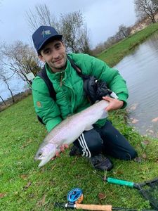 Rainbow Trout