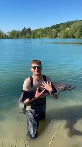 Sturgeon