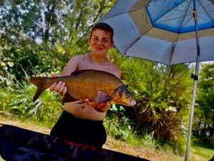 Common Bream