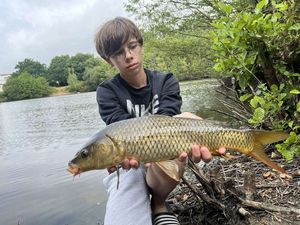 Common Carp