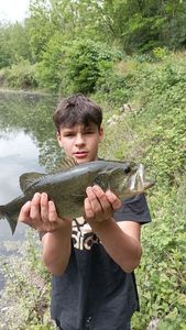 Largemouth Bass