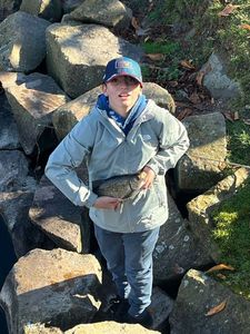 Common Bream