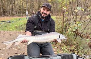 Sturgeon