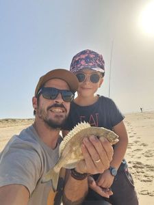 Black Seabream