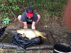 Mirror Carp